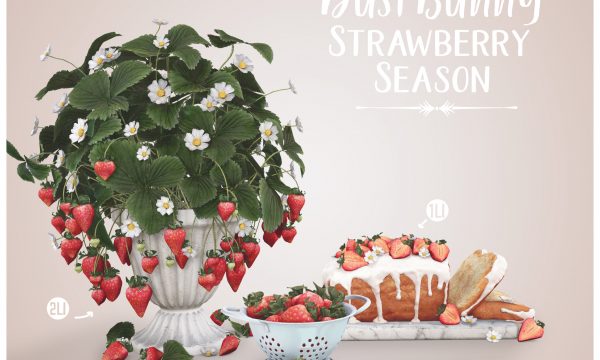 Strawberry Season. L$250.