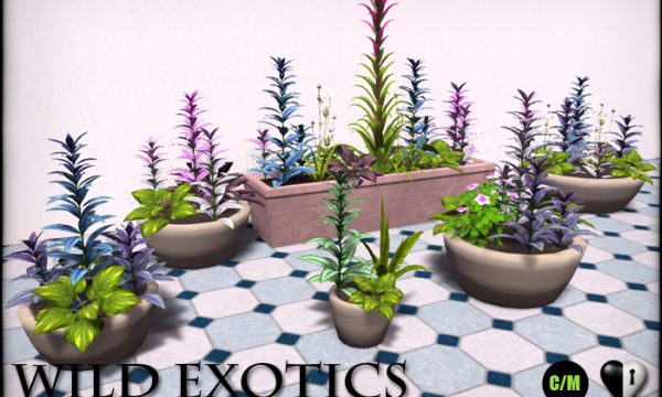 Persian Shield and Potted Persian Shield. Persian Shield is L$699. Potted Persian Shield is L$399.