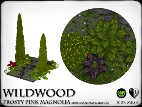 Heart Garden - Ancient Path.