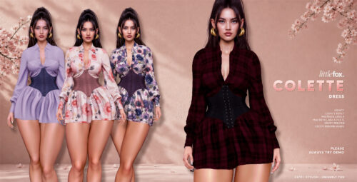 littlefox. - Colette Dress.