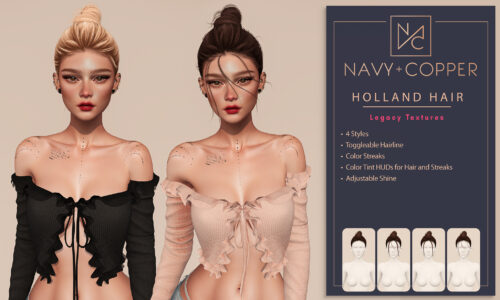Navy&Copper - Holland Hair.